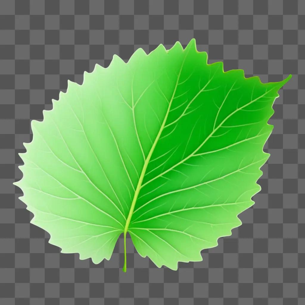 leaf sketch in a bright background