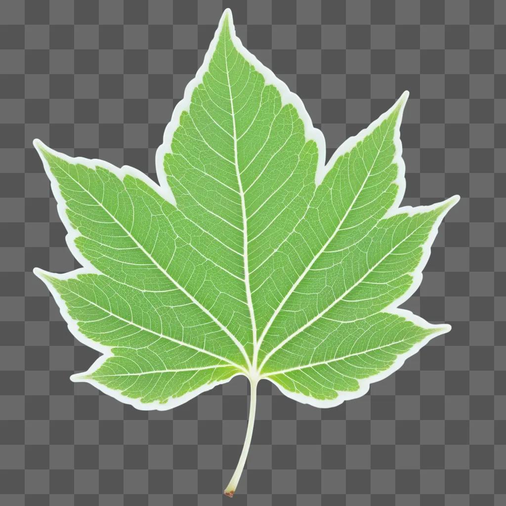 leaf texture on a green background