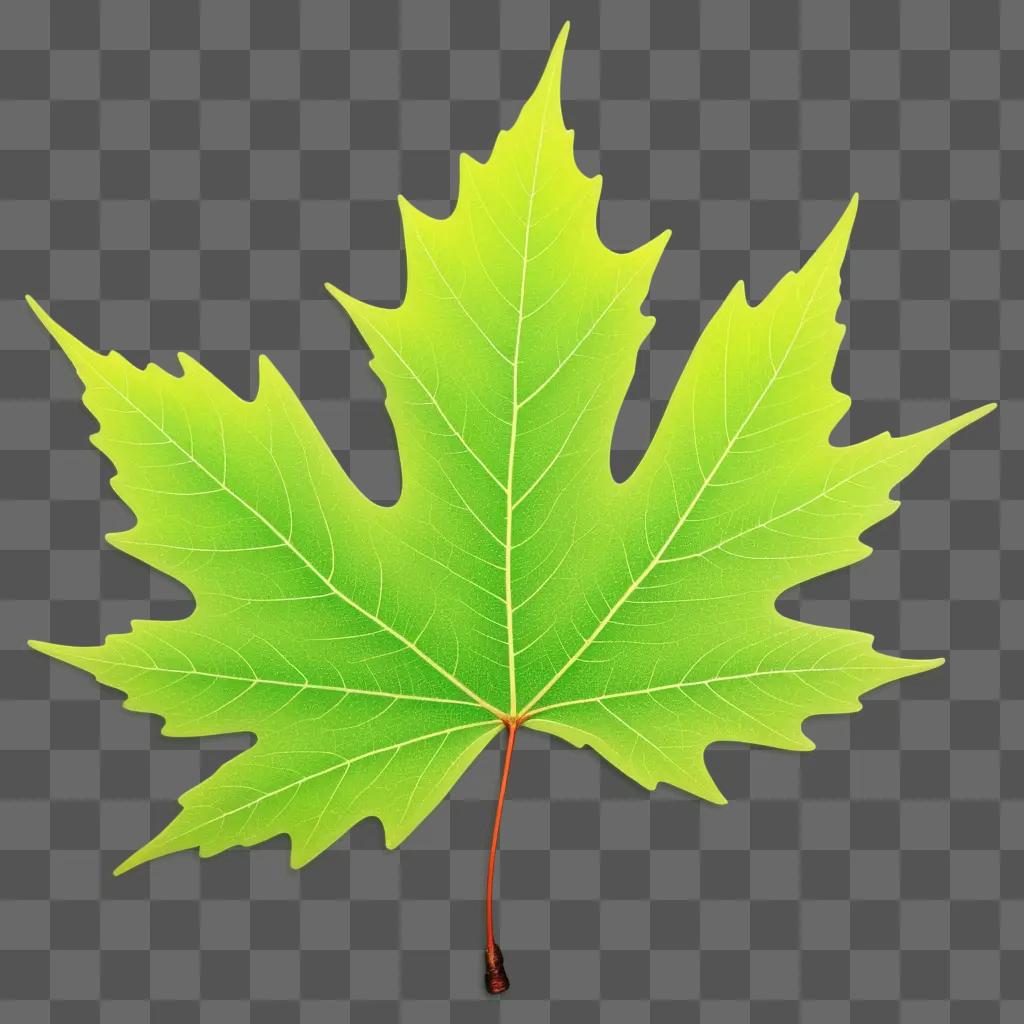 leaf with a textured surface on a green background