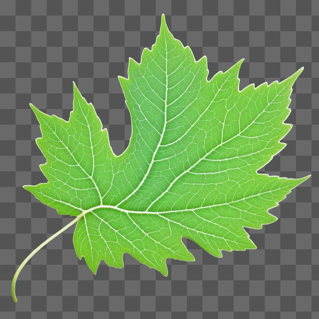 leaf with a unique textured surface