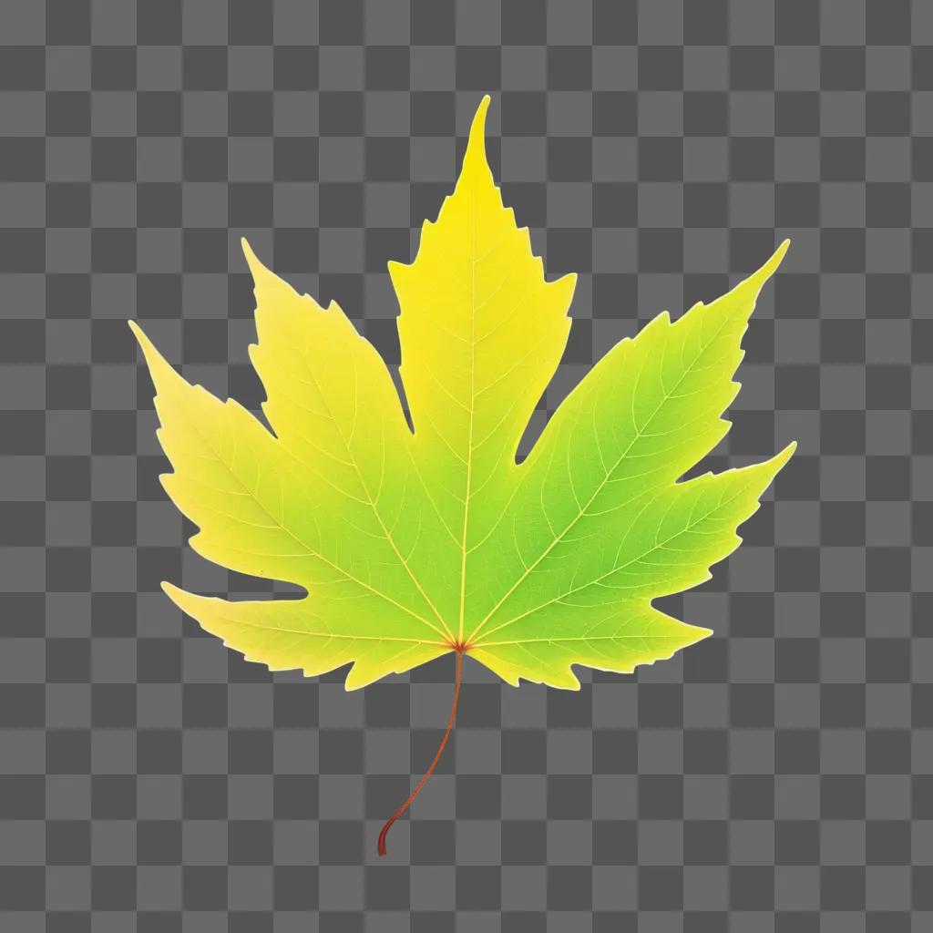 leaf with a yellow and green color scheme