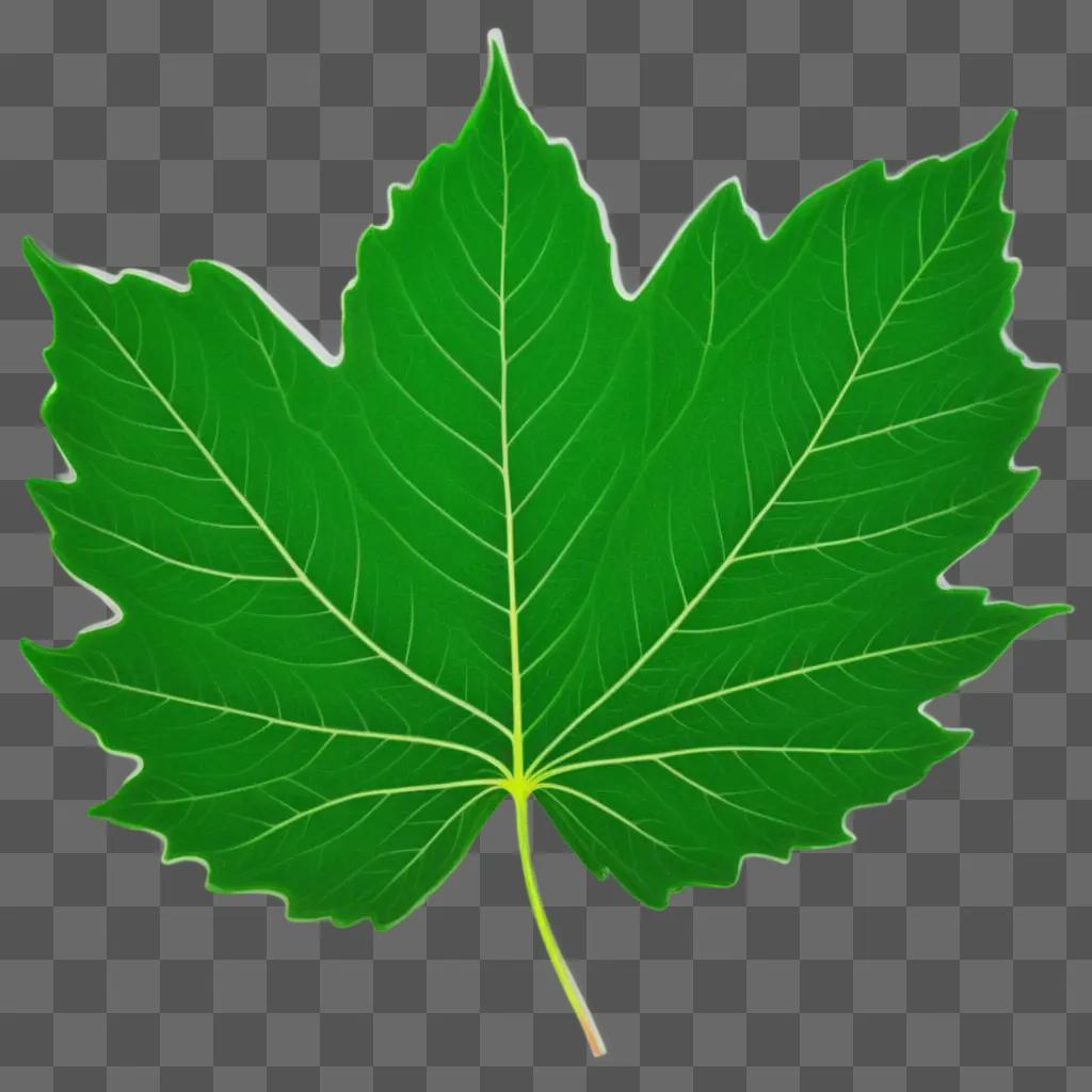 leafy green leaf on a green background