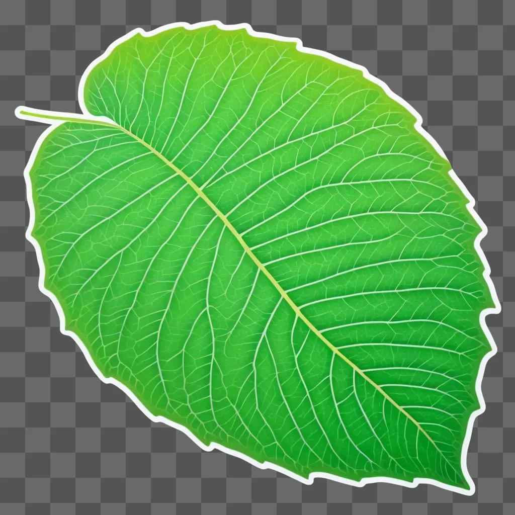 leafy green leaf on a green background