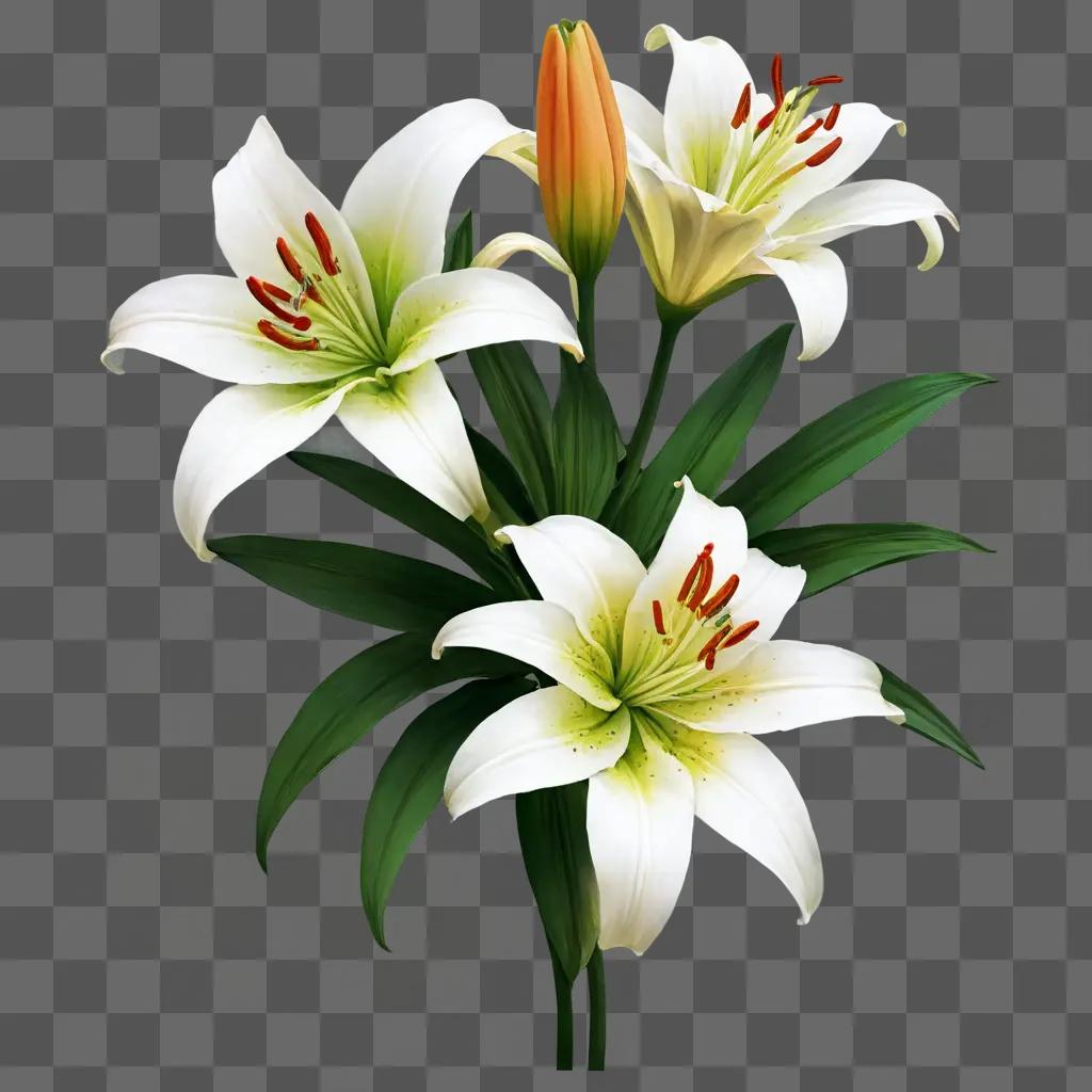 lily flower drawing A bouquet of white lily flowers in a blurred background