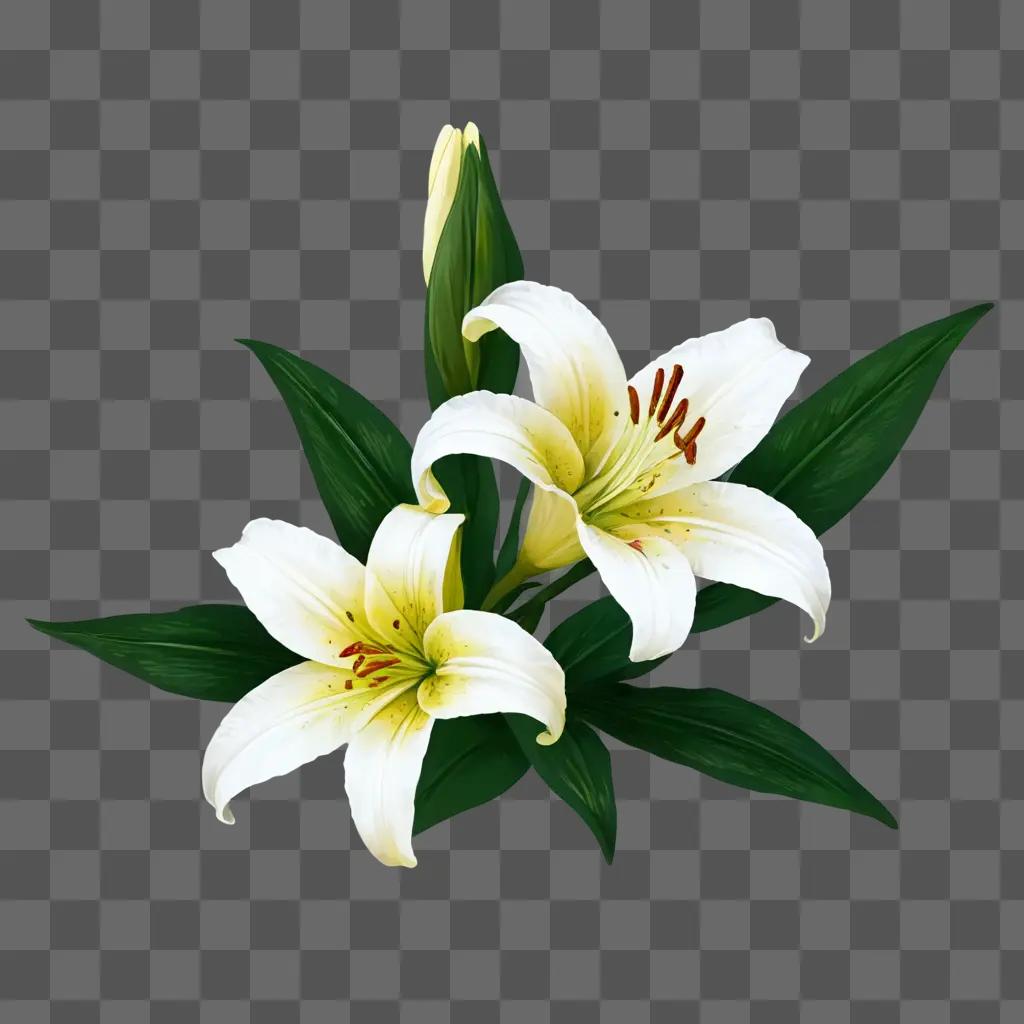 lily flower drawing Two white flowers with red tips on green leaves