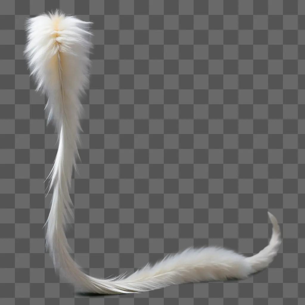 long white cat tail on a grey background