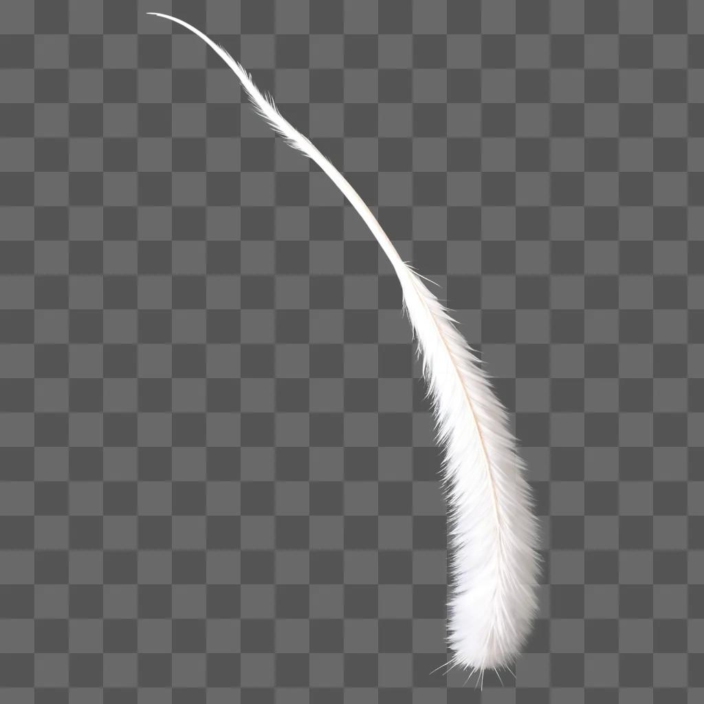 long white feather with a cat tail at the end