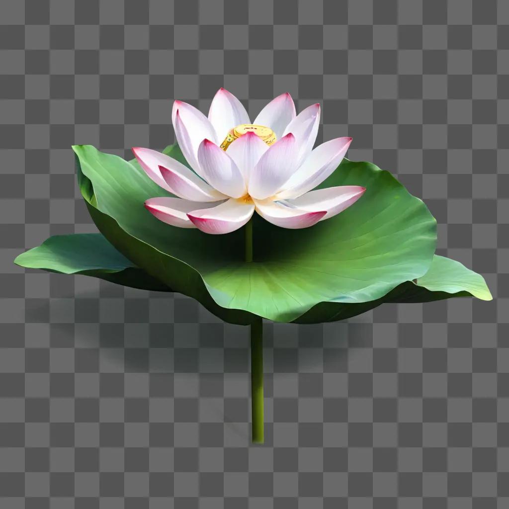 lotus flower drawing A pink lotus with a green leaf under it