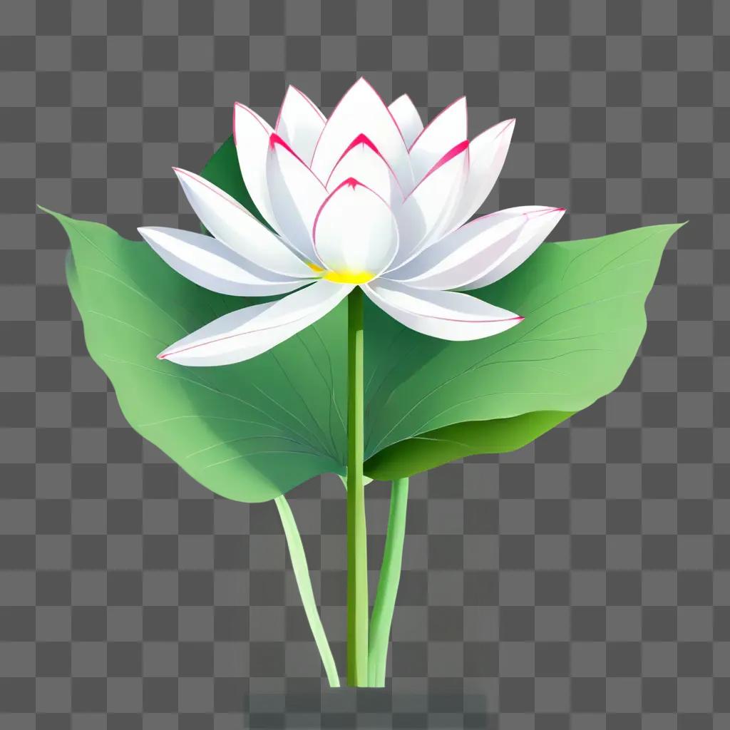 lotus flower drawing A white flower with pink and green leaves