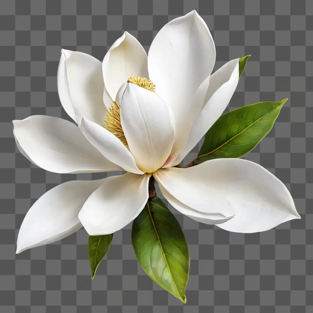 magnolia flower drawing A large white flower with green leaves