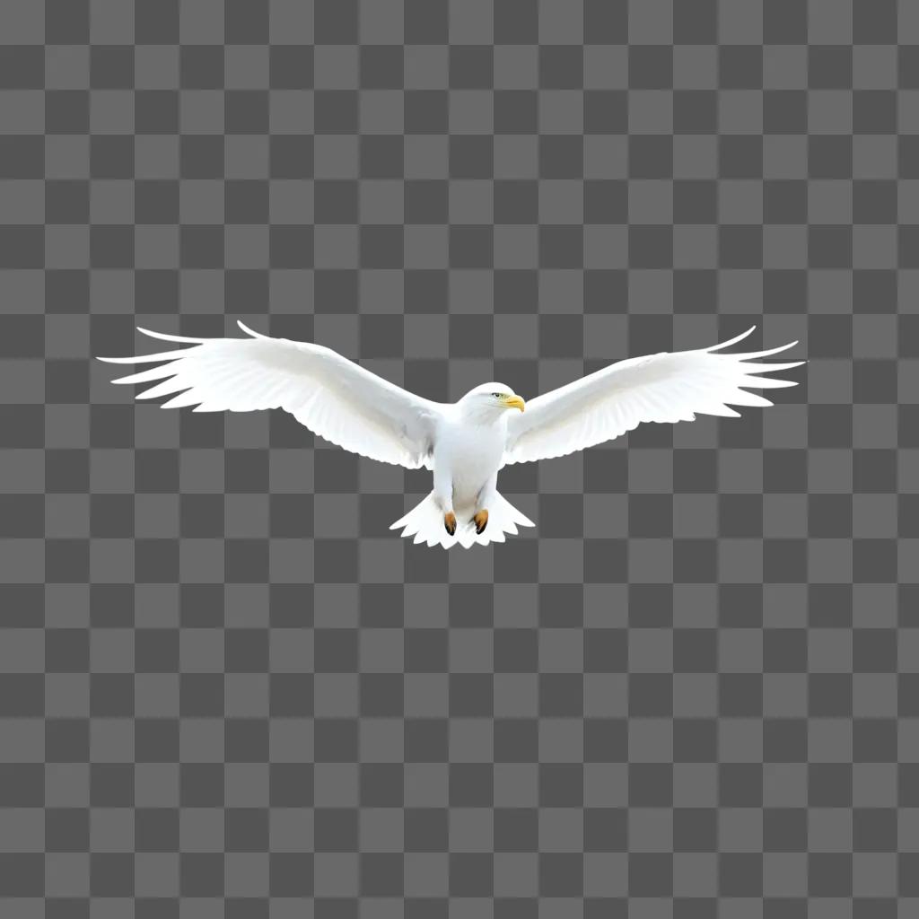 majestic white bird with a free and aesthetic flight