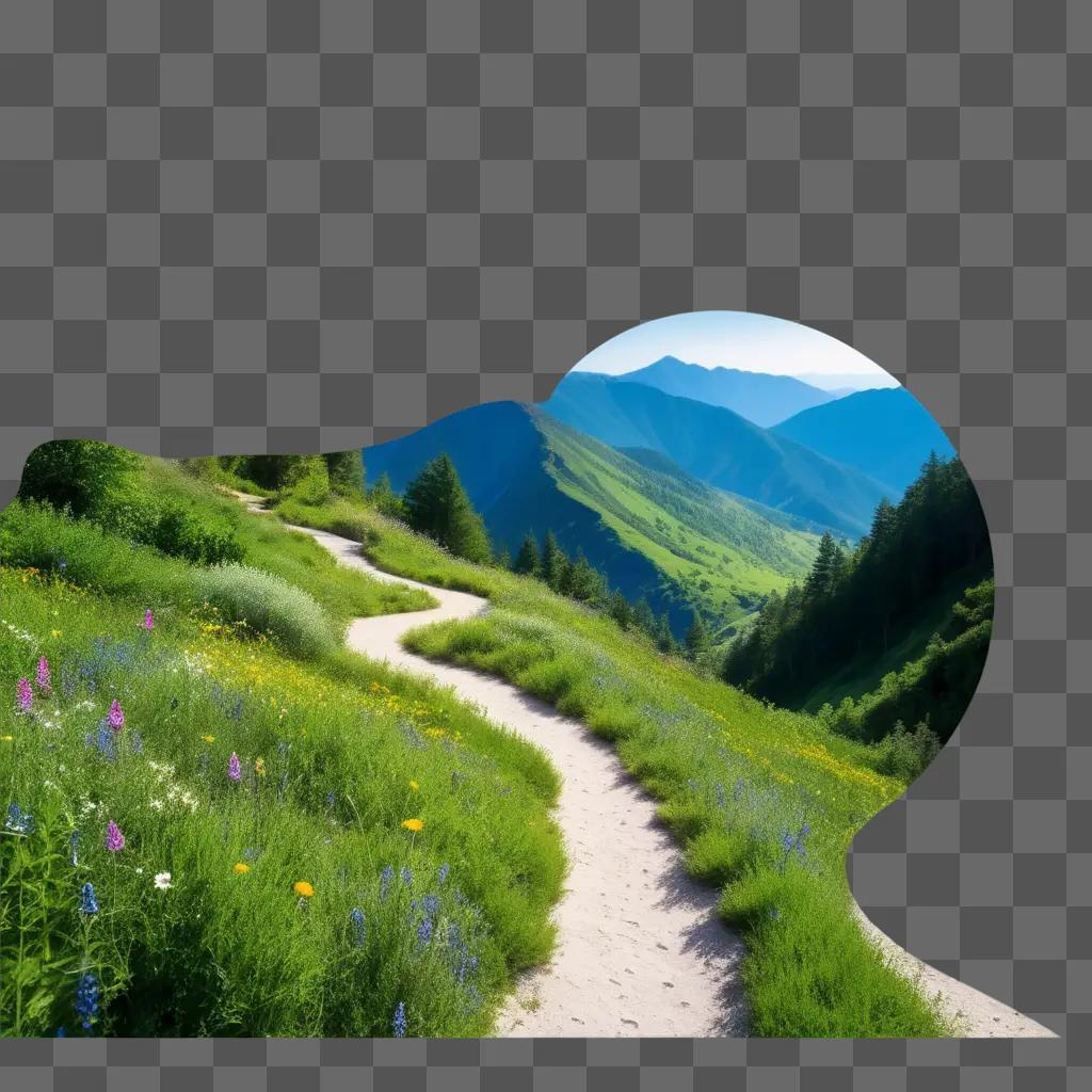 mountain trail with wildflowers and a bright sky