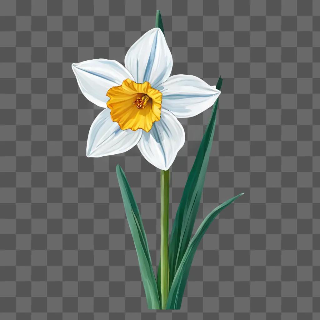 narcissus flower drawing A flower on a green background