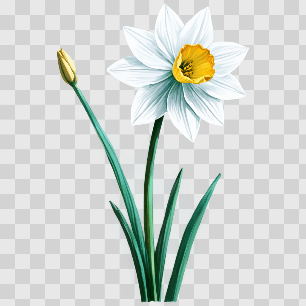 narcissus flower drawing A flower with yellow center and green stem