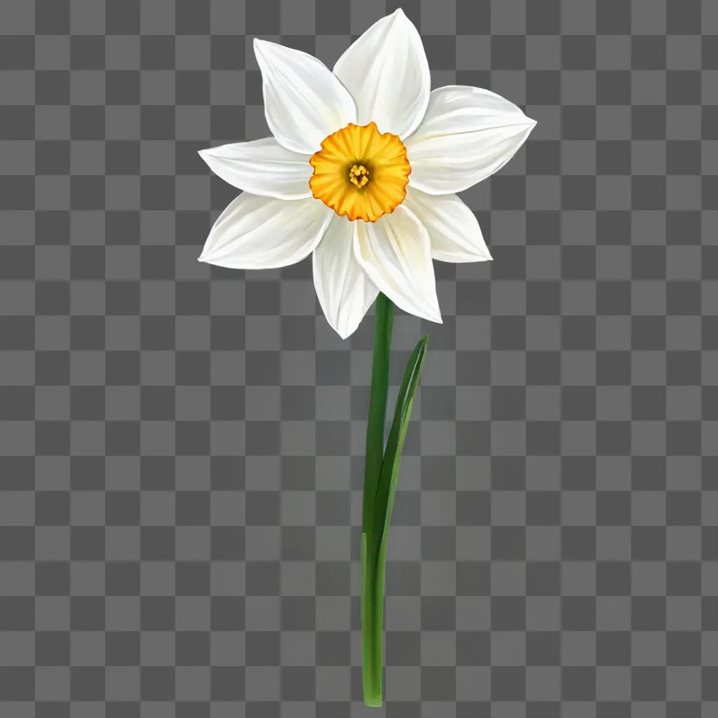 narcissus flower drawing A white flower with a yellow center