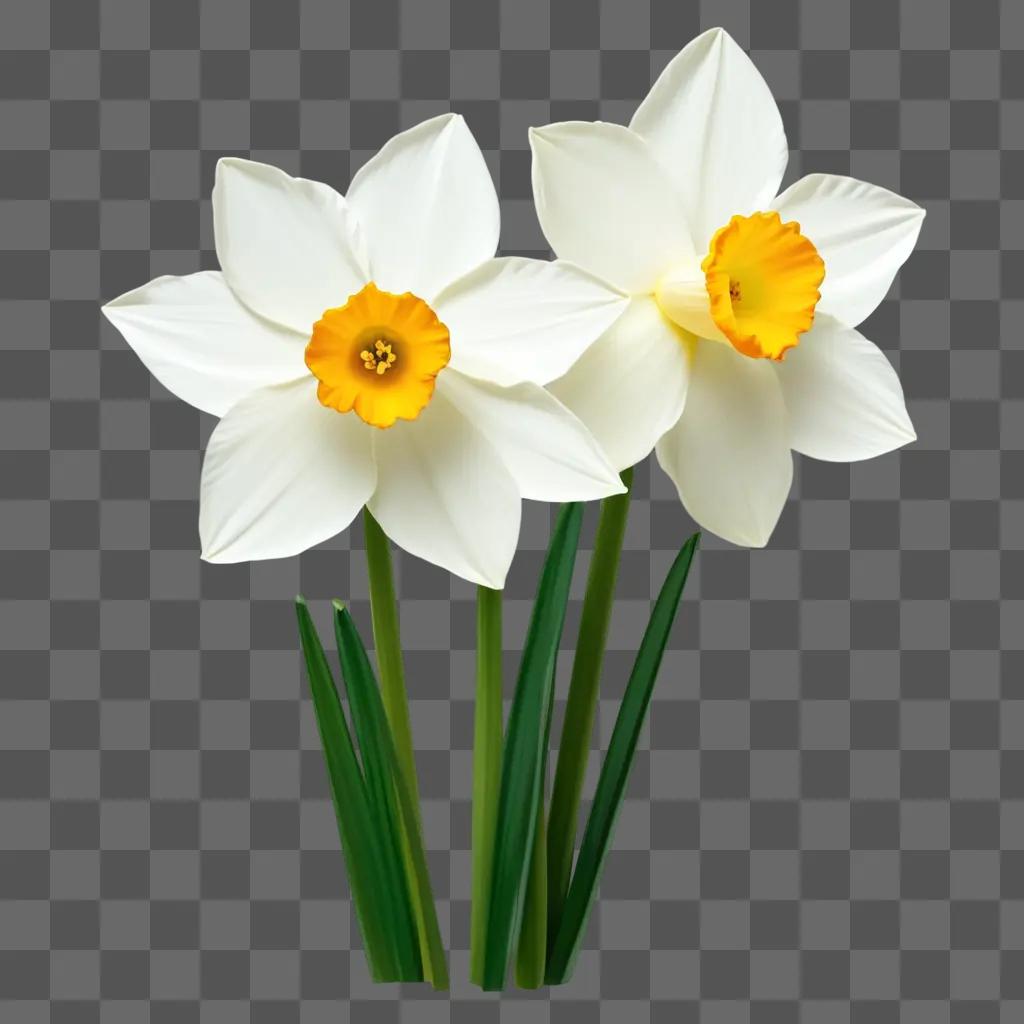 narcissus flower drawing with yellow center