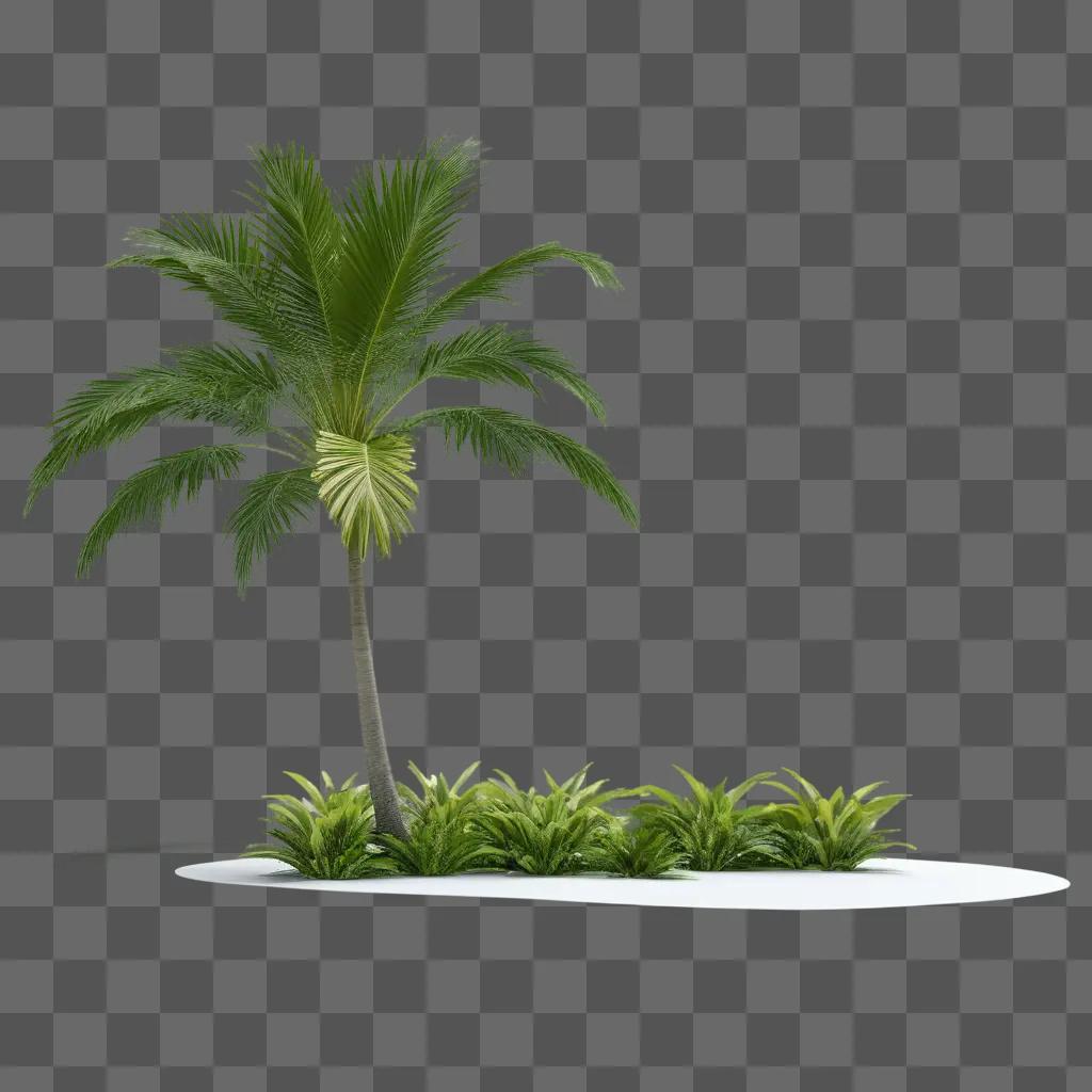 palm tree stands alone in a lush garden