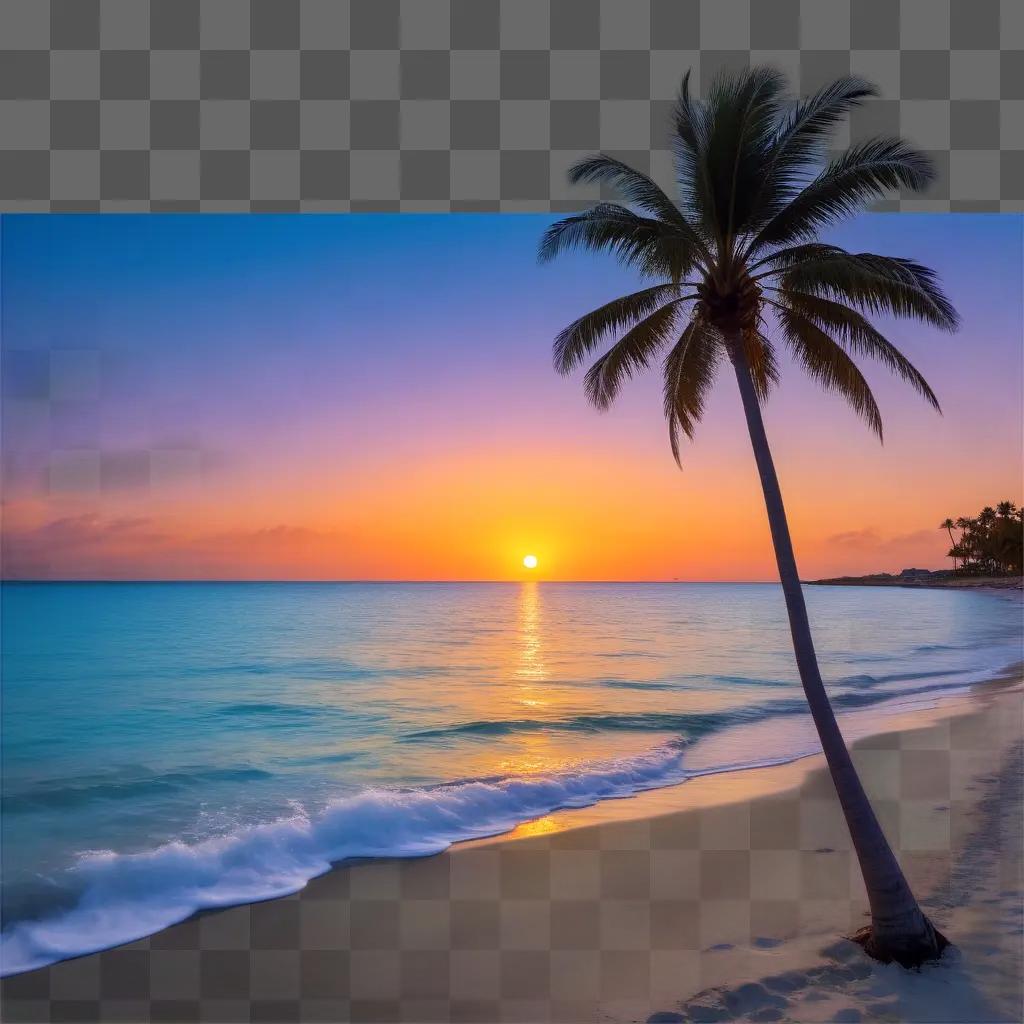 palm tree stands in front of a sunset