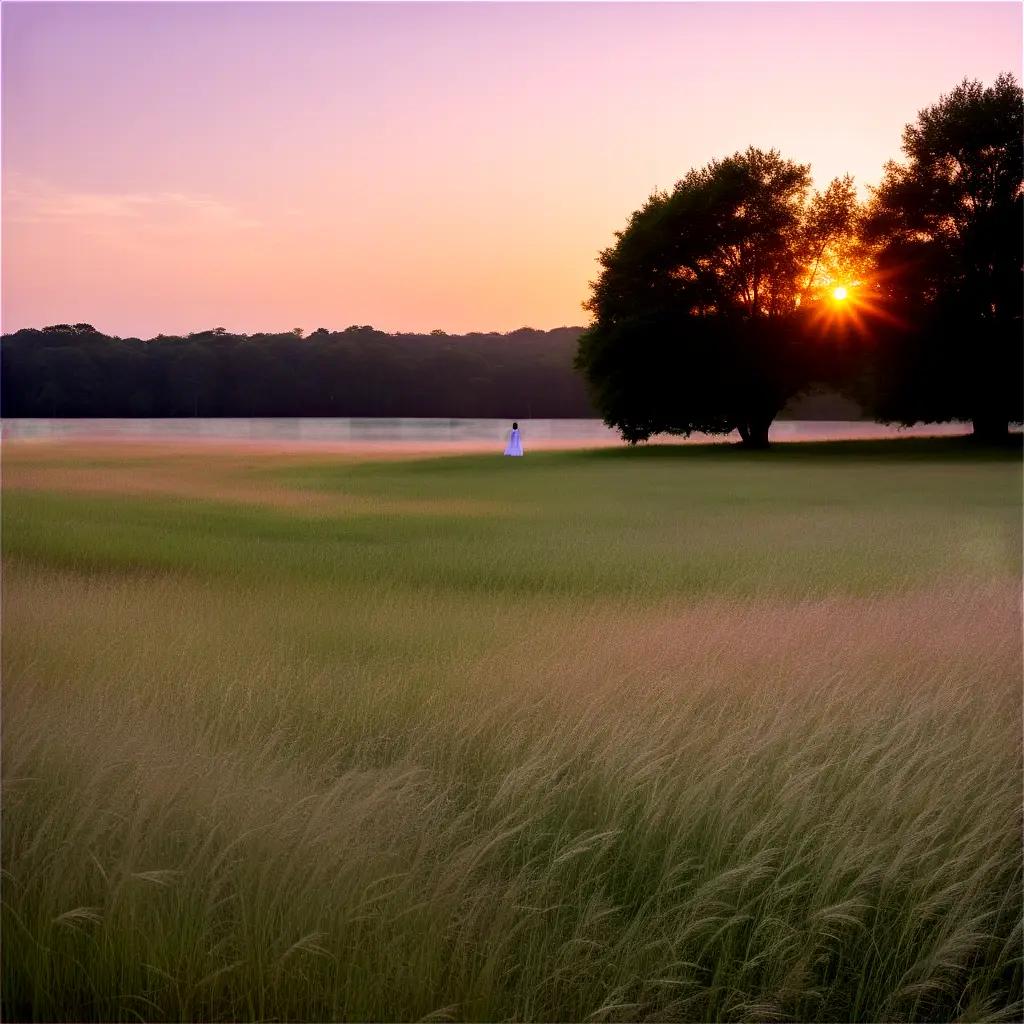 person waits in a field at sunset