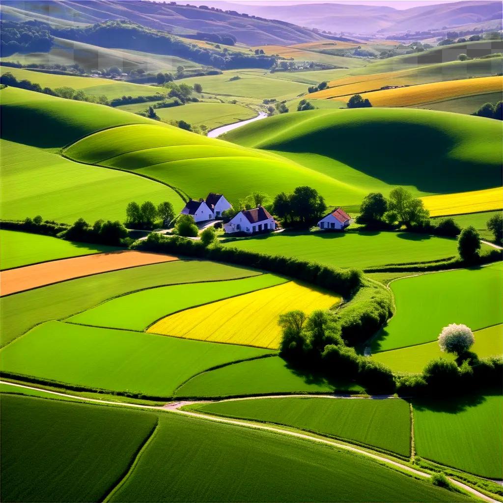 picturesque country landscape with green fields and trees