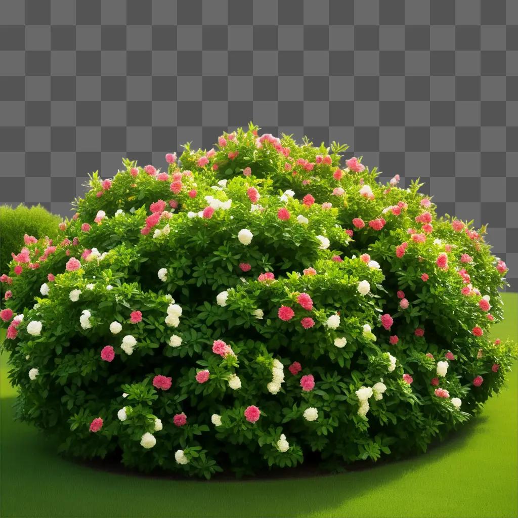 pink and white flower bush on a green background