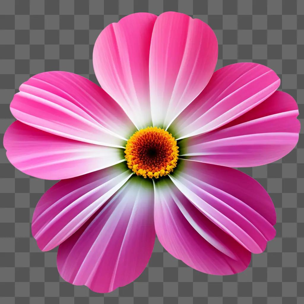 pink flower with white petals and a yellow center