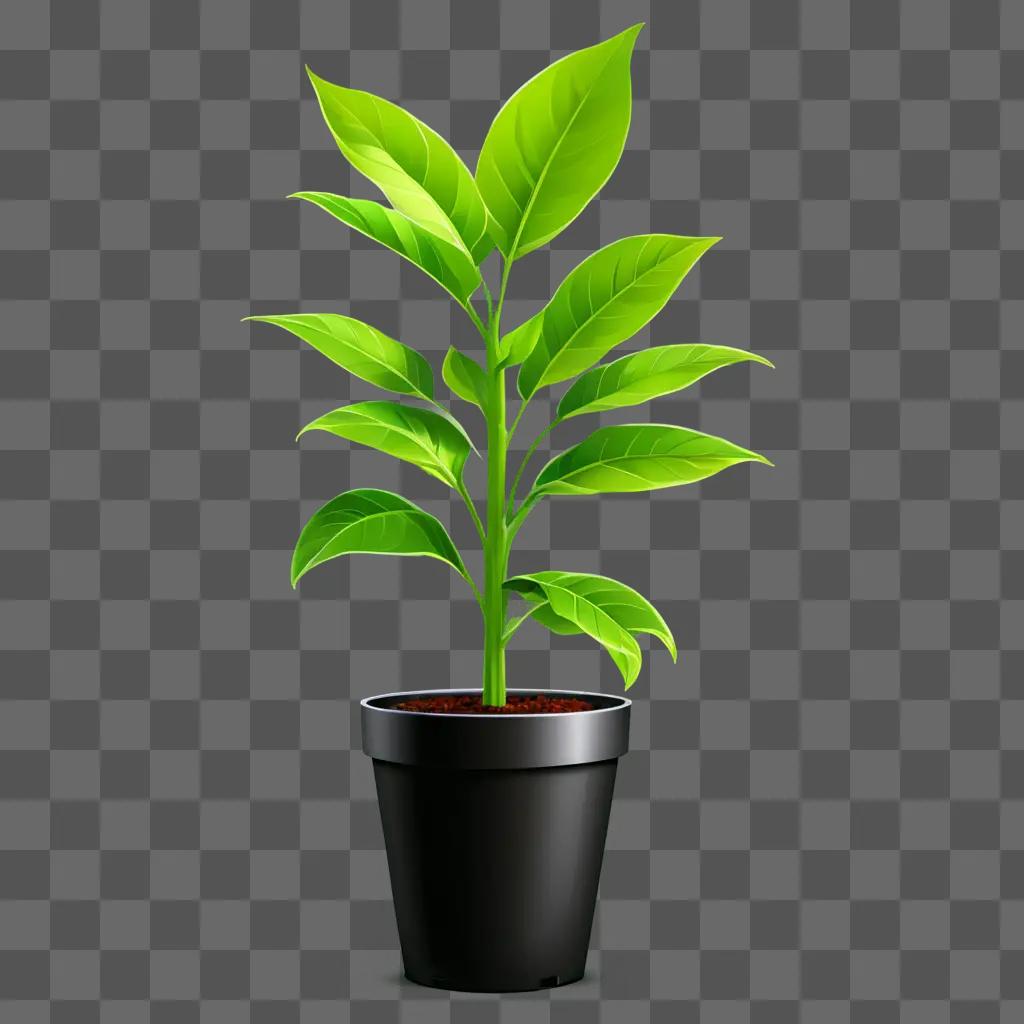 plant clipart A black plant pot with green leaves