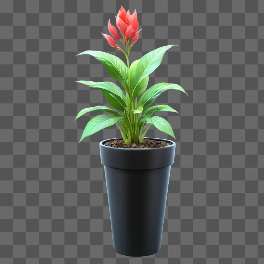 plant clipart A flower in a black pot with a glowing background