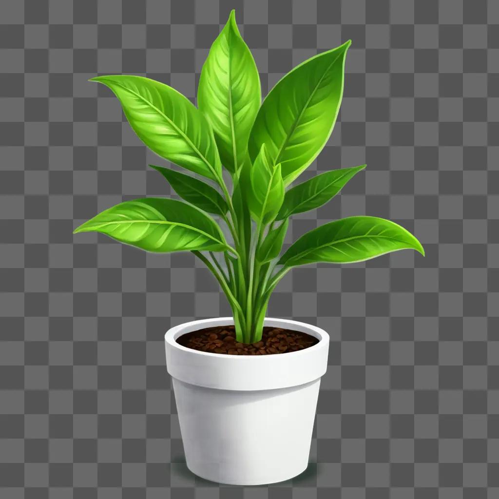 plant clipart A green plant in a white pot on a green background