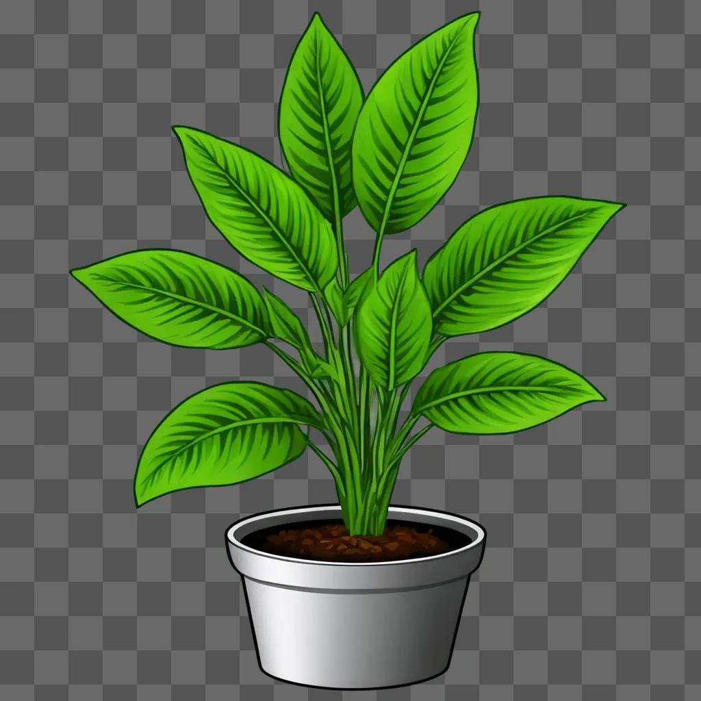 plant clipart A green plant in a white pot on a green background