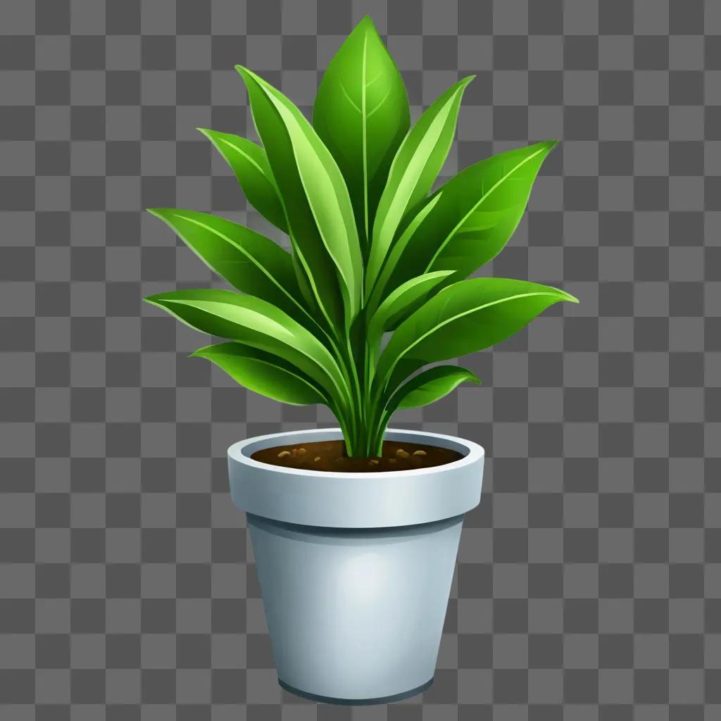 plant clipart A potted plant with green leaves stands in front of a green background