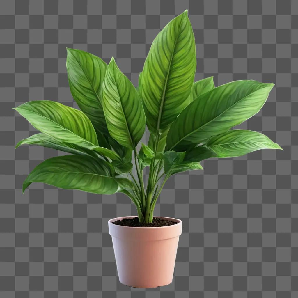 plant drawing realistic A plant in a pot on a green background