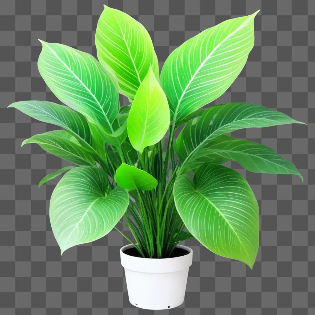 plant in a white pot with a transparent background