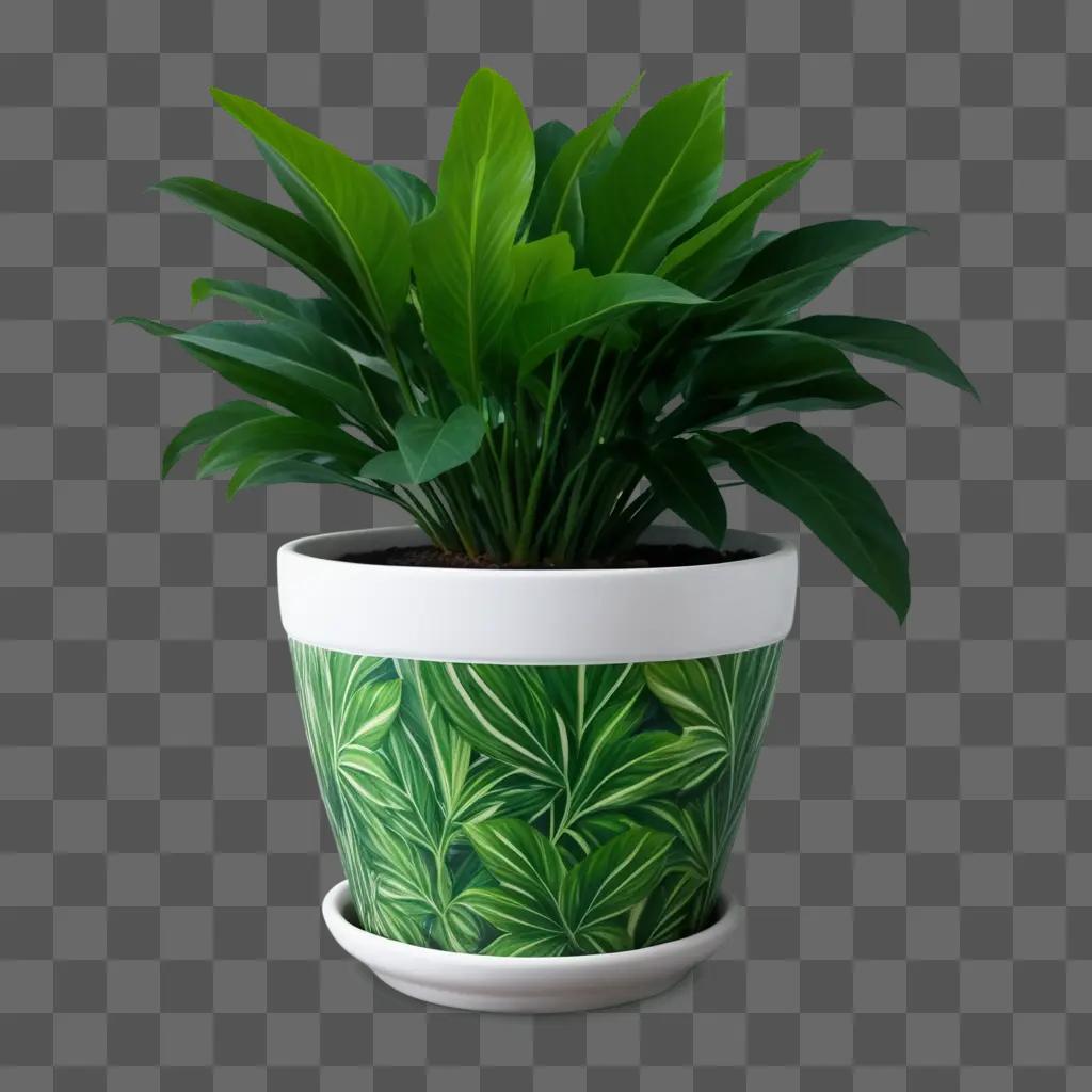 plant pot with a white rim and green leaves