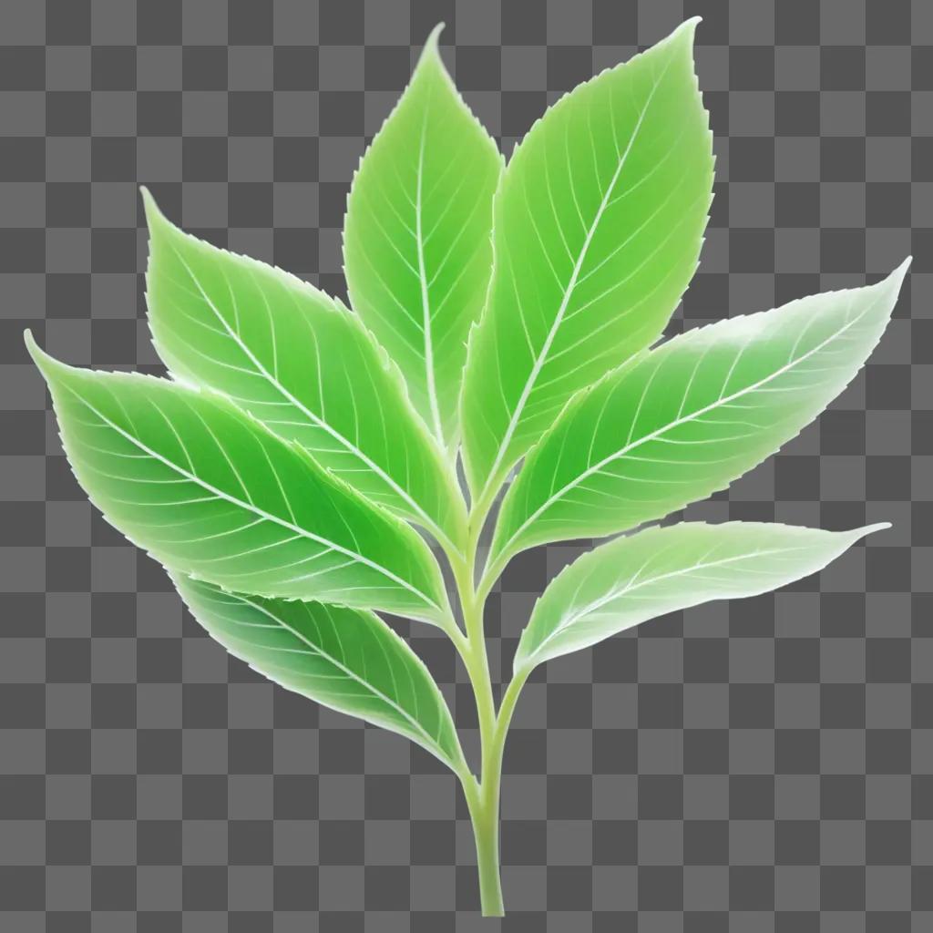 plant with a transparent leaf on a green background