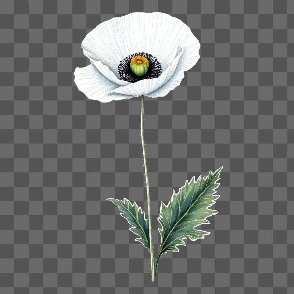 poppy drawing is colored and outlined