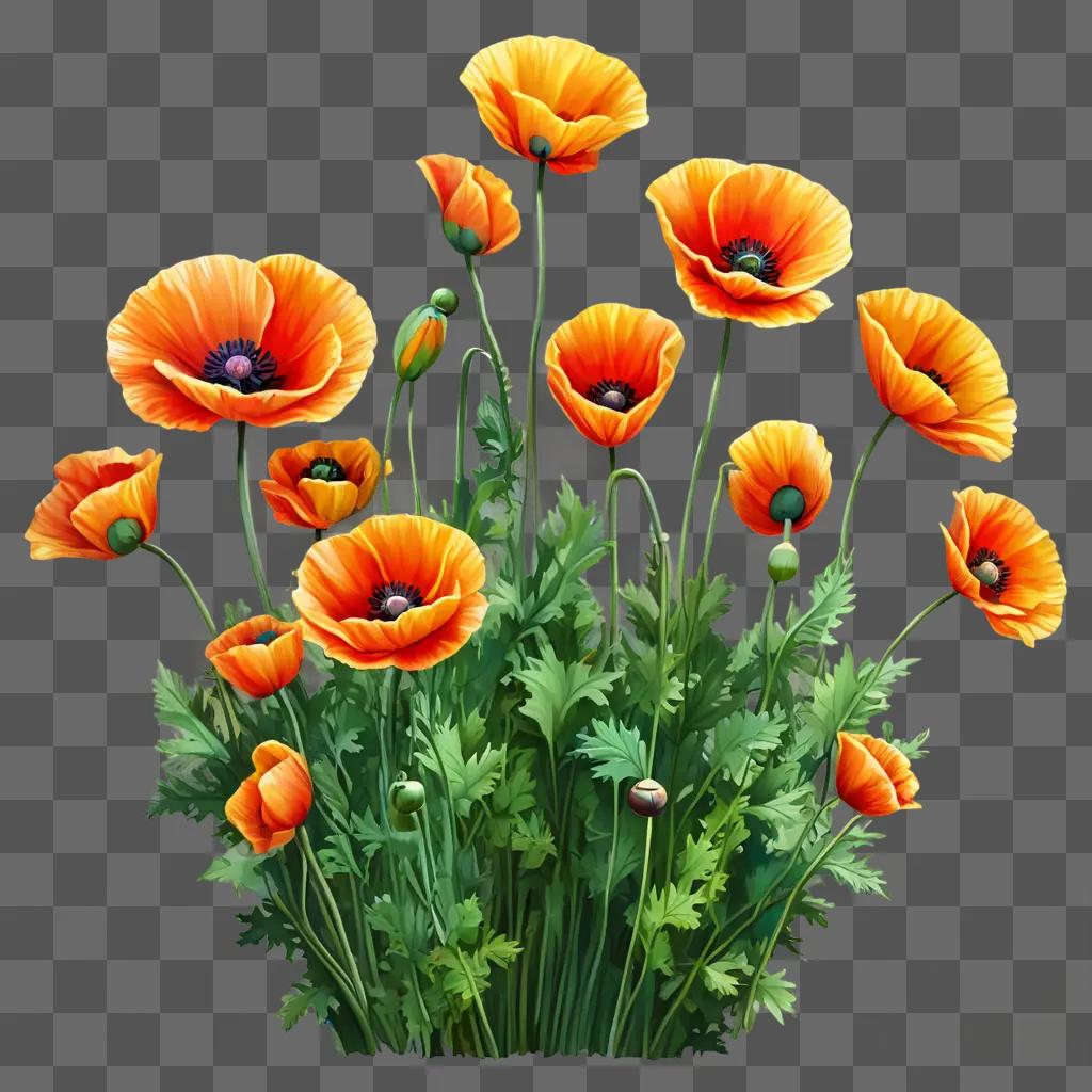 poppy flower drawing A bouquet of bright orange poppies against a green background