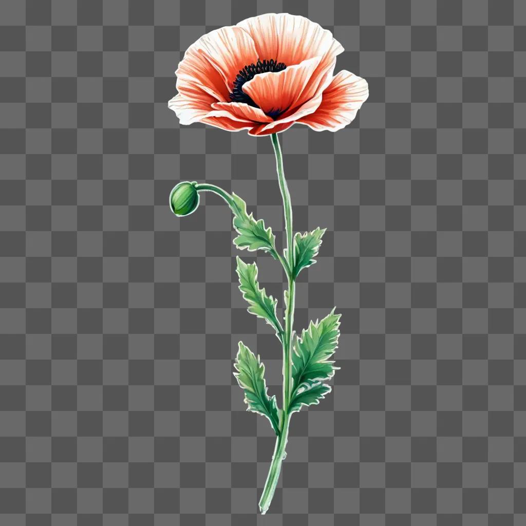 poppy flower drawing A red flower with green leaves and stem