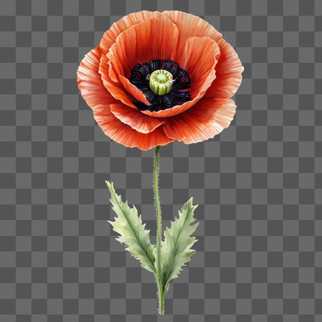 poppy flower drawing A vibrant red flower against a pink background