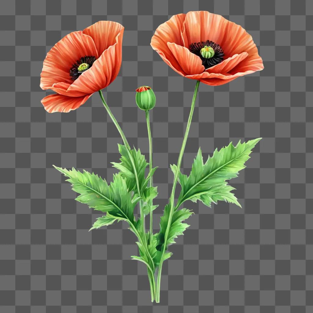 poppy flower drawing Two poppies on a green background with yellow leaves