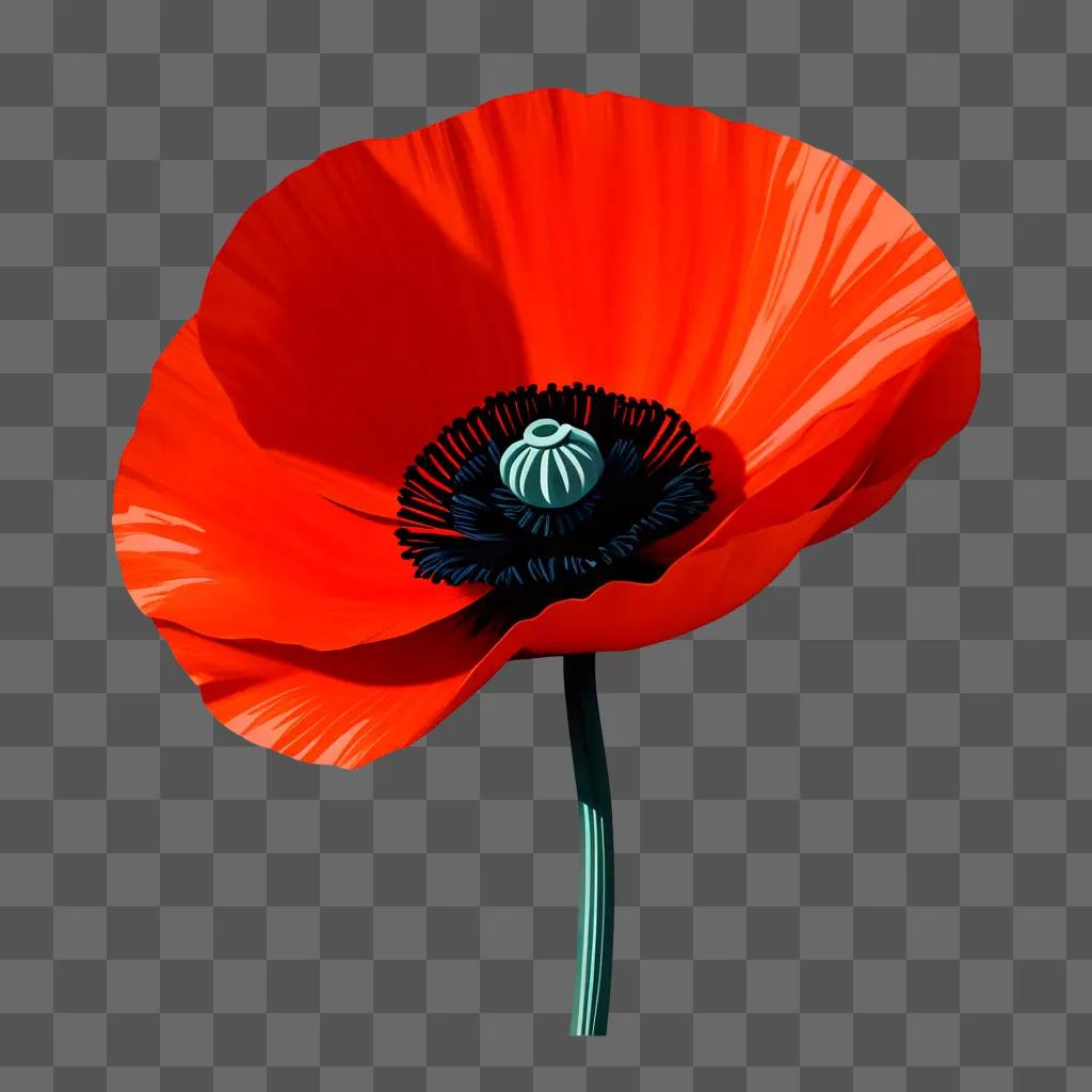 poppy logo is displayed in vibrant colors