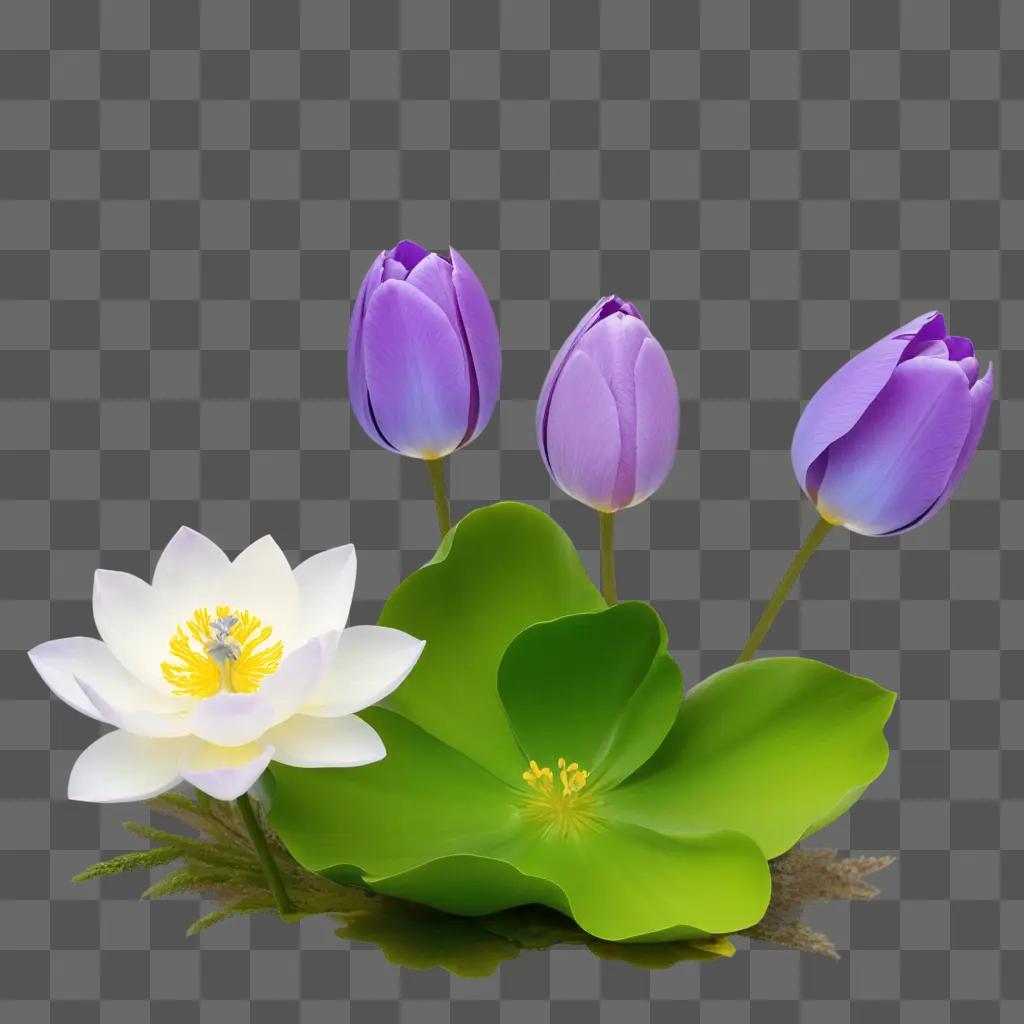 purple flower sits in a green leaf