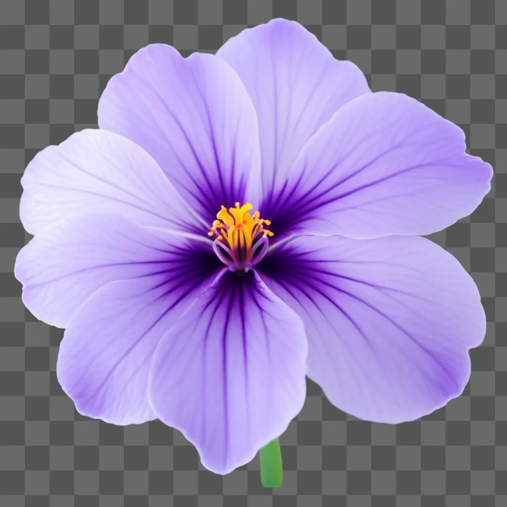 purple flower with a yellow center