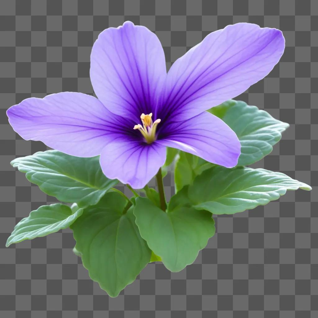 purple flower with green leaves