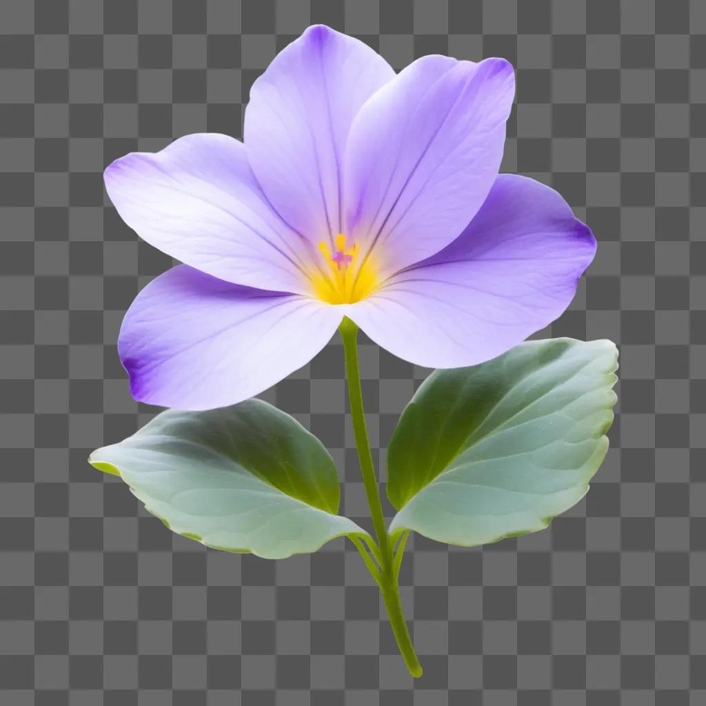 purple flower with yellow center and green leaves