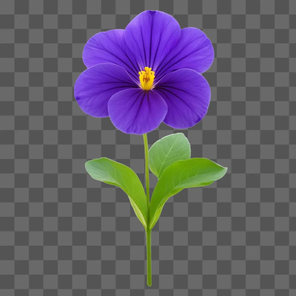 purple flower with yellow center and green leaves