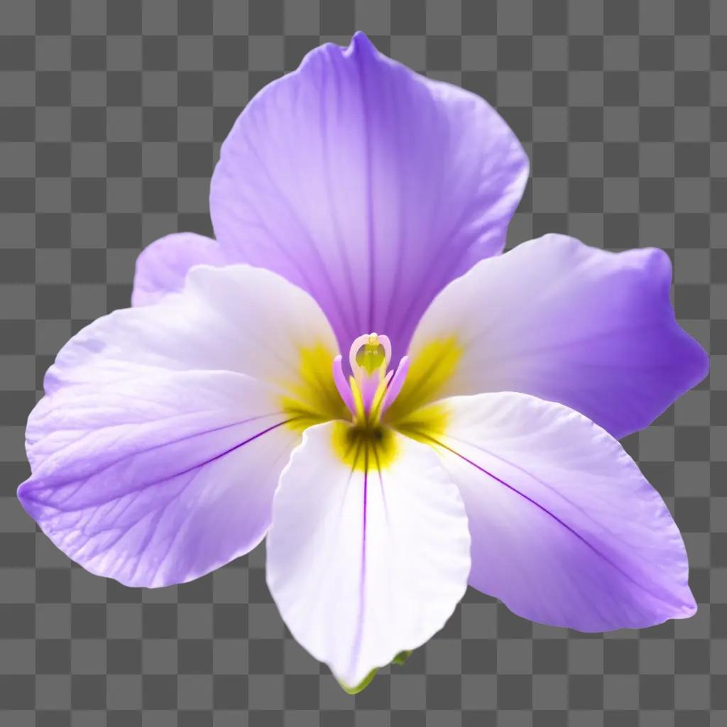 purple flower with yellow center and long green leaves