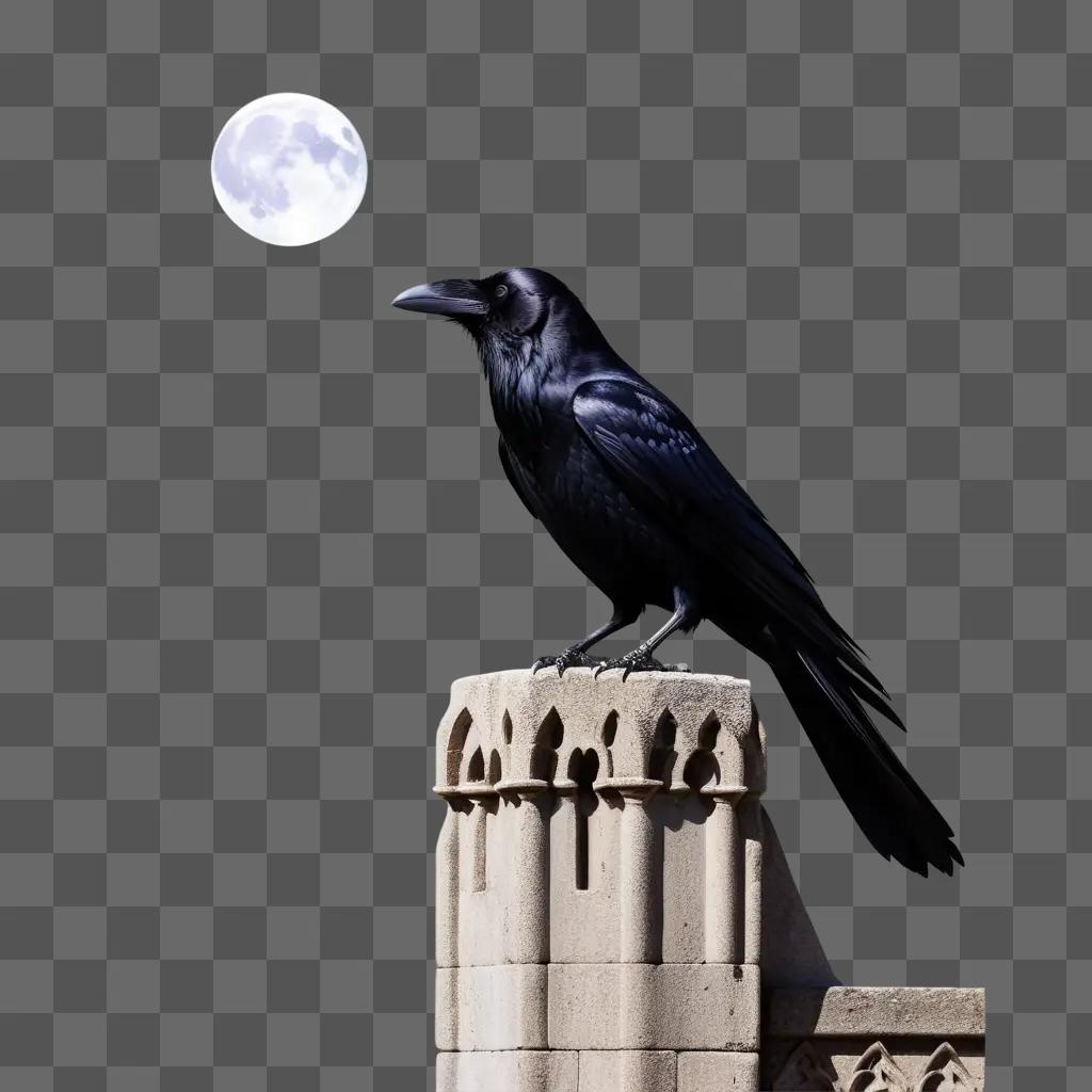 raven sits on a stone pillar near the moon