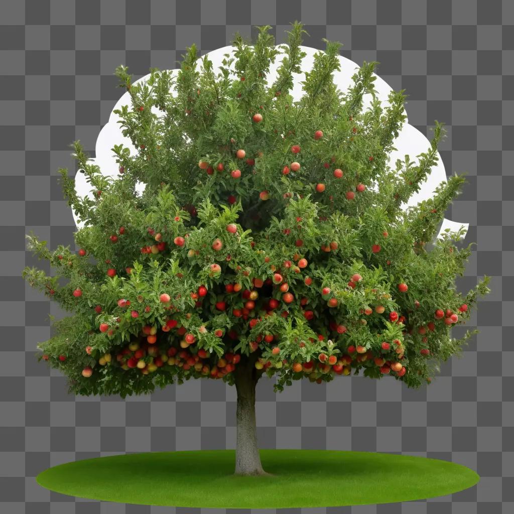 real apple tree with ripe fruit on a lush green lawn