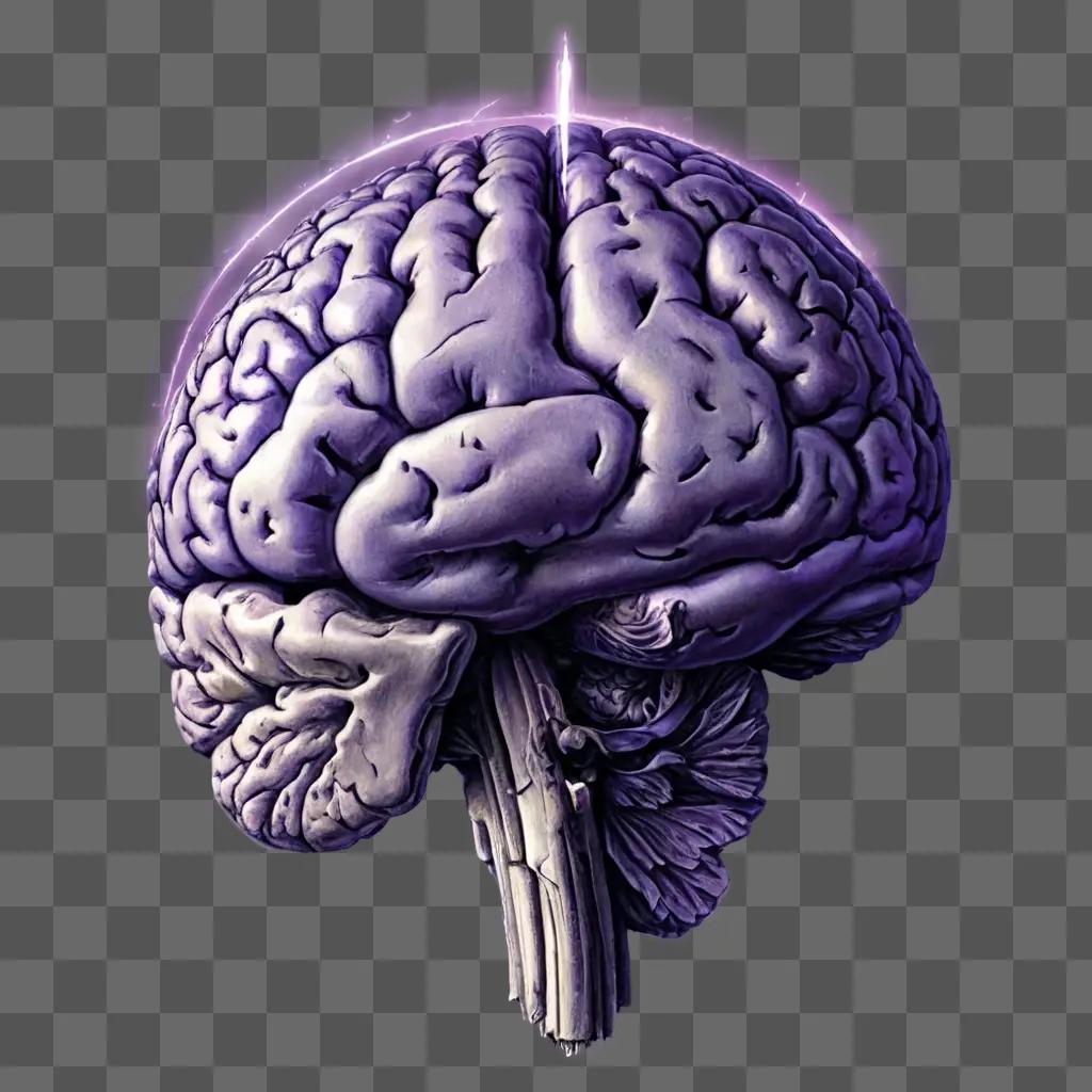 realistic brain drawing A brain is shown in a purple light